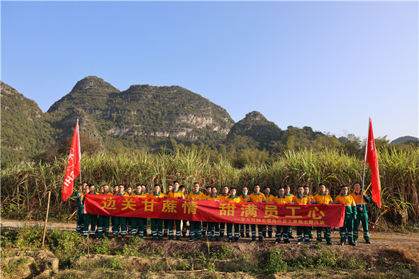 邊關(guān)甘蔗情，“甜”滿員工心—崇左紅獅助海外員工家屬收甘蔗